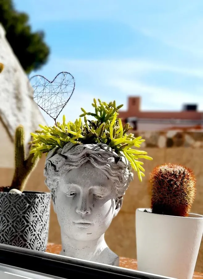 Belka Home Tarragona